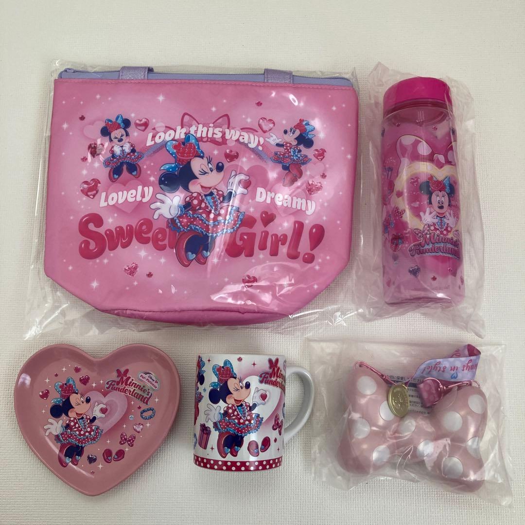 ディズニー　パルパルーザ　スーベニア　５点セット