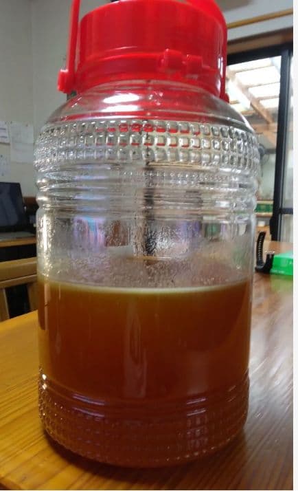 日本ミツバチ　2年蜜　天然蜂蜜 糖度約81度　正味550g　2本 　兵庫県産