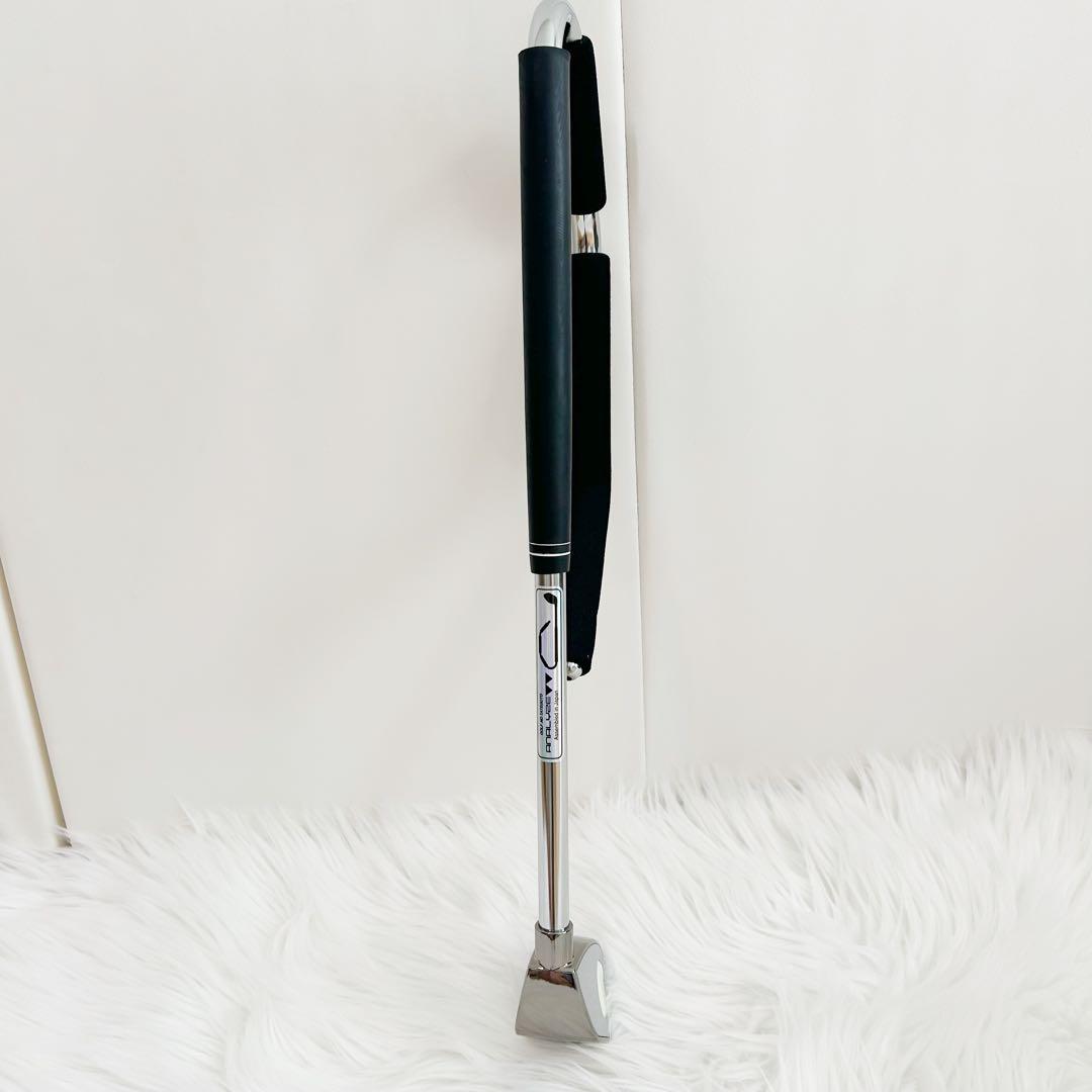 ゴルフの堅琴 アナライズ ゴルフ練習 マーク金井　スイング練習