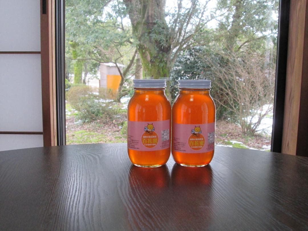 日本蜜蜂（日本ミツバチ）の蜂蜜　1本１，２ｋｇ2本合計２，４ｋｇ