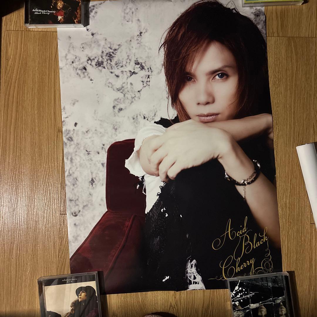 Acid Black Cherry ポスター
