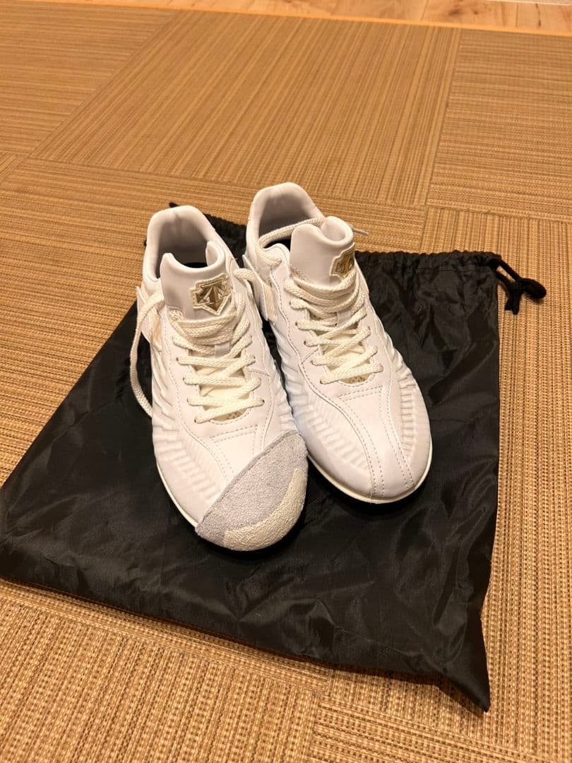 未使用品　DESCENTE デサント　 ホワイトスパイク 収納袋付き