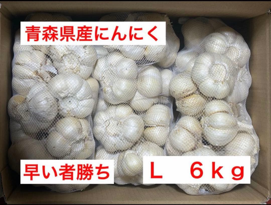 青森県産にんにく　発根　Ｌ　６ｋｇ　早い者勝ち