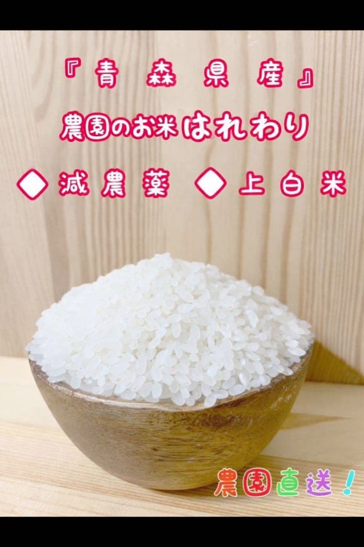 青森県産はれわたり白米10キロ