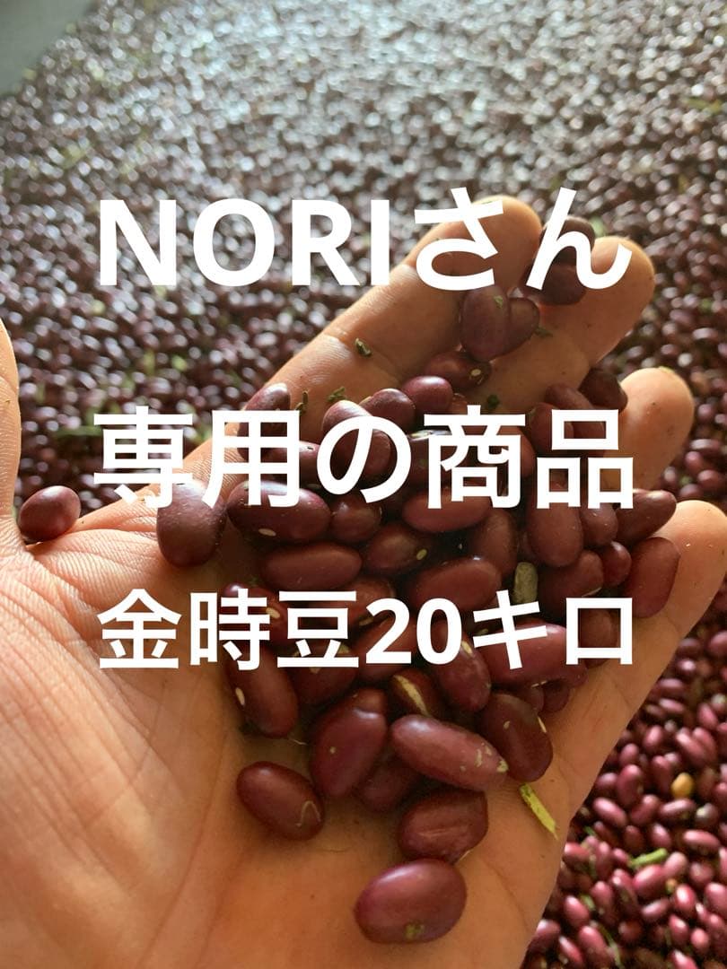 金時豆20キロ