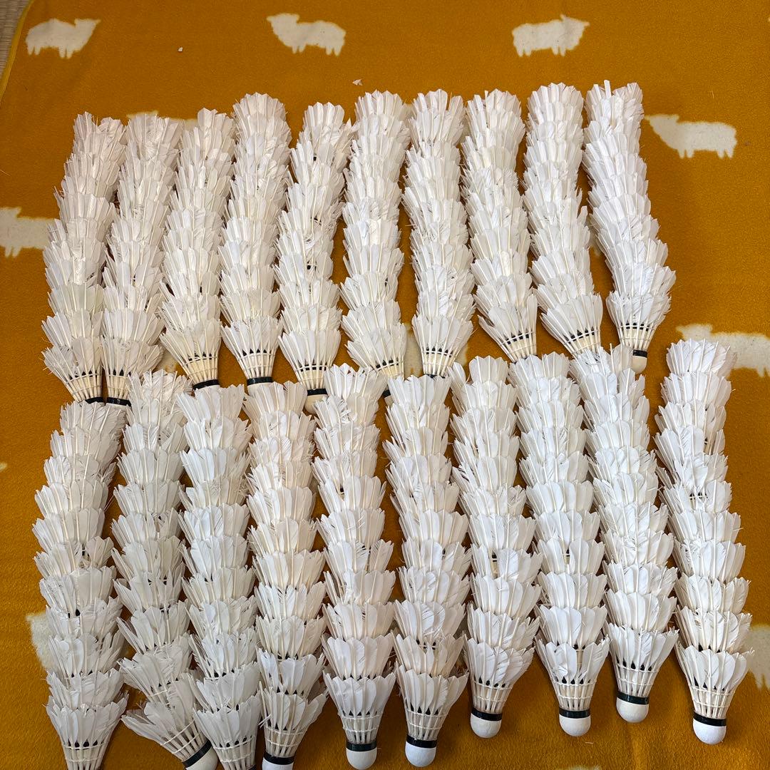 バドミントン　ノック用シャトル　220球セット　ヨネックス　ゴーセン