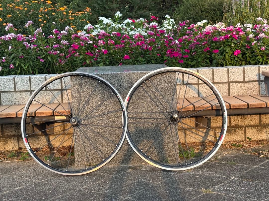 Campagnolo SHAMAL ULTRA C15（2WAY仕様)