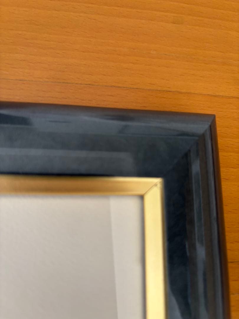 Saiji Fujishiro レフグラフ　こびとたちのパーティー　藤城清治