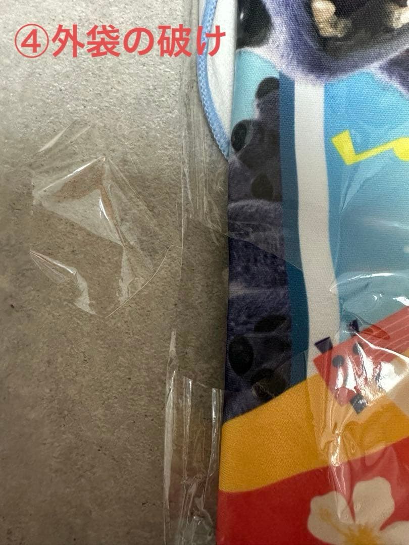 実写版リロ・アンド・スティッチ グッズ(ビラ、パンフレット等)