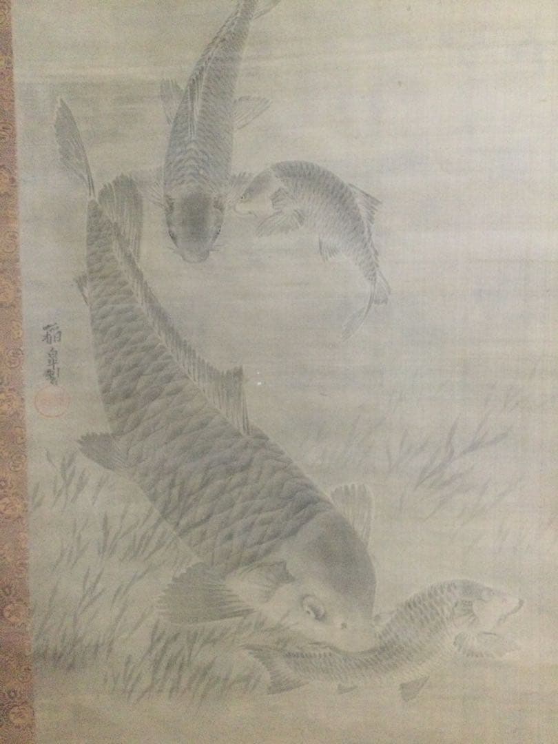 鯉の日本画　掛け軸　黒田稲皐　　『鯉の図』