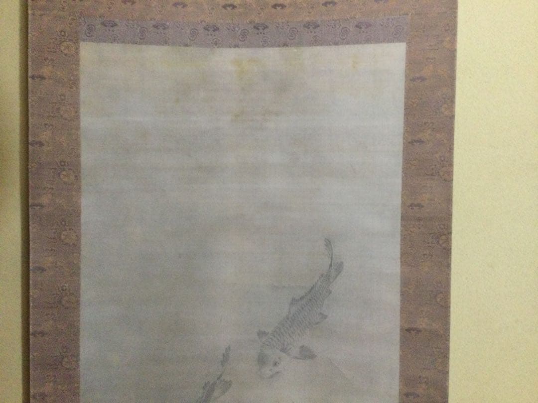 鯉の日本画　掛け軸　黒田稲皐　　『鯉の図』