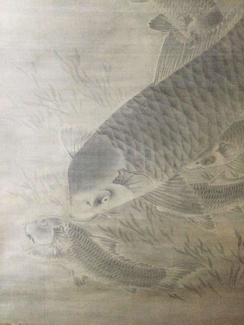 鯉の日本画　掛け軸　黒田稲皐　　『鯉の図』