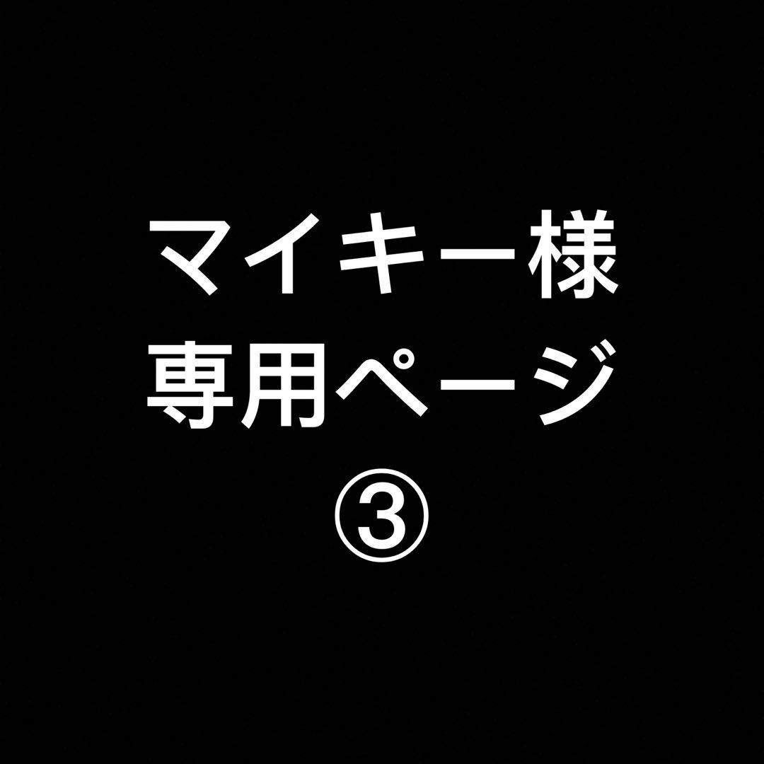 マイキーページ　即購入NG ③