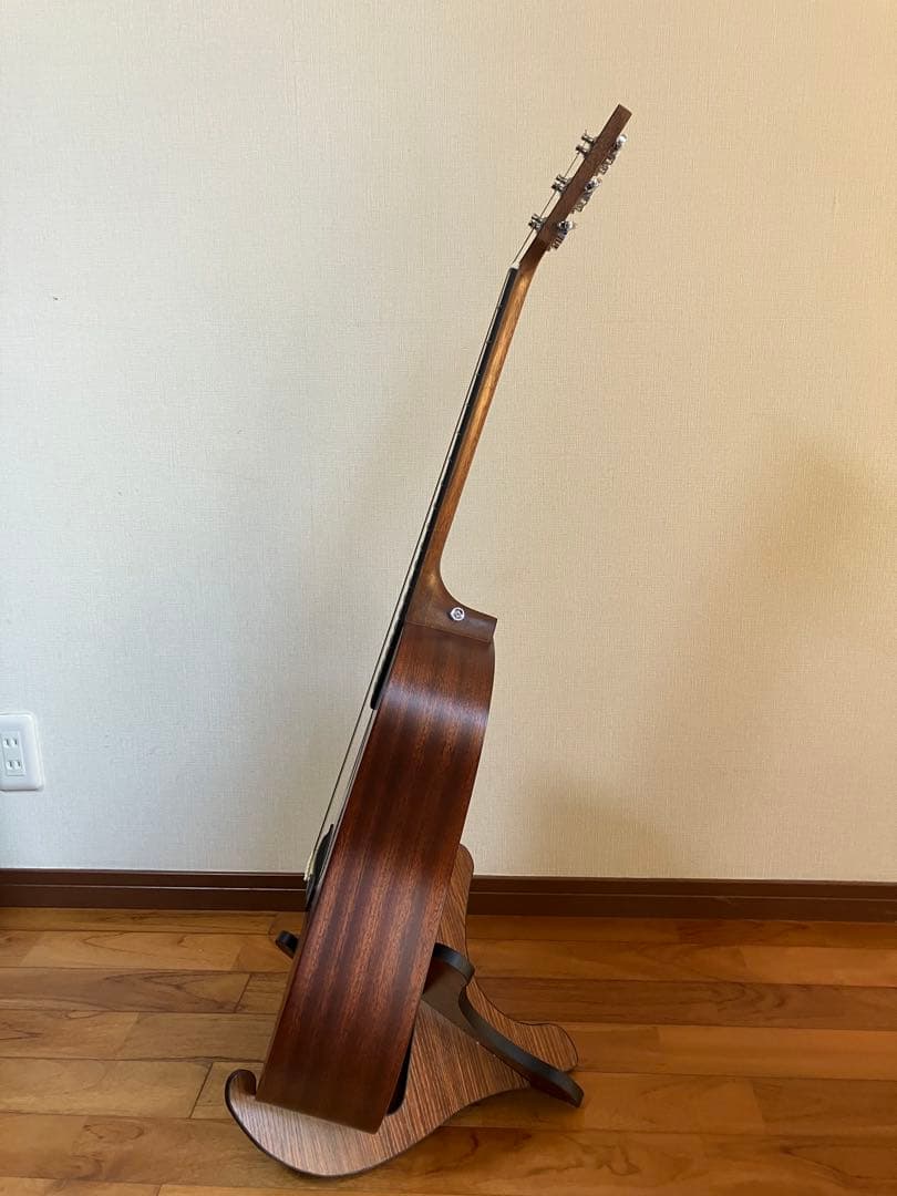 Martin & Co. エレアコースティックギター ギターケース付き