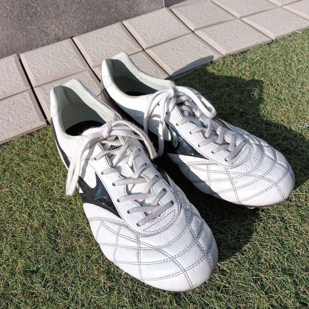 モレリアスパイク