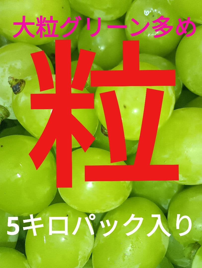 シャインマスカット大粒グリーン多め入り5キロ粒バック入りになります。