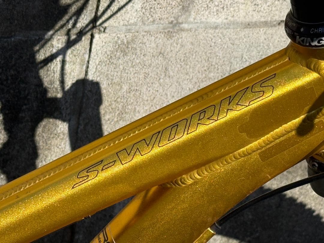 SPECIALIZED S-WORKS + フルXTR里山仕様