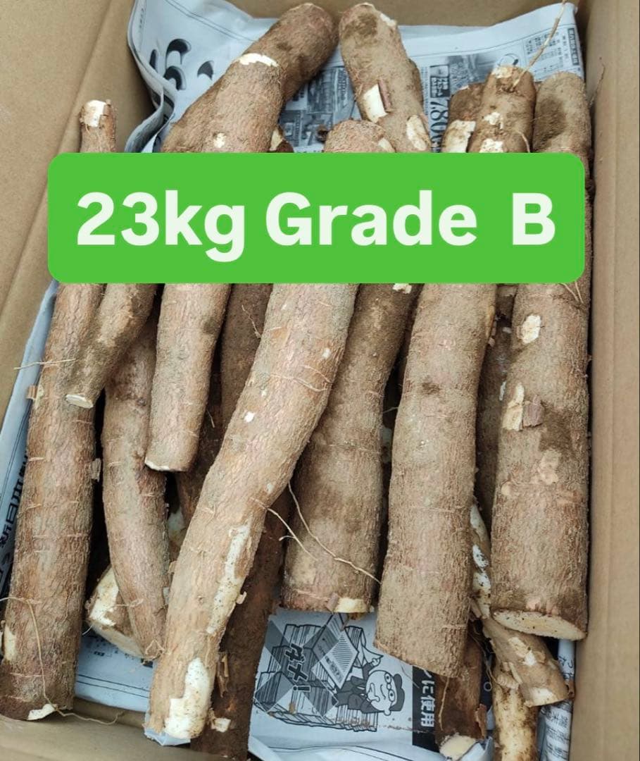 野菜 mandioca 23kggradeB