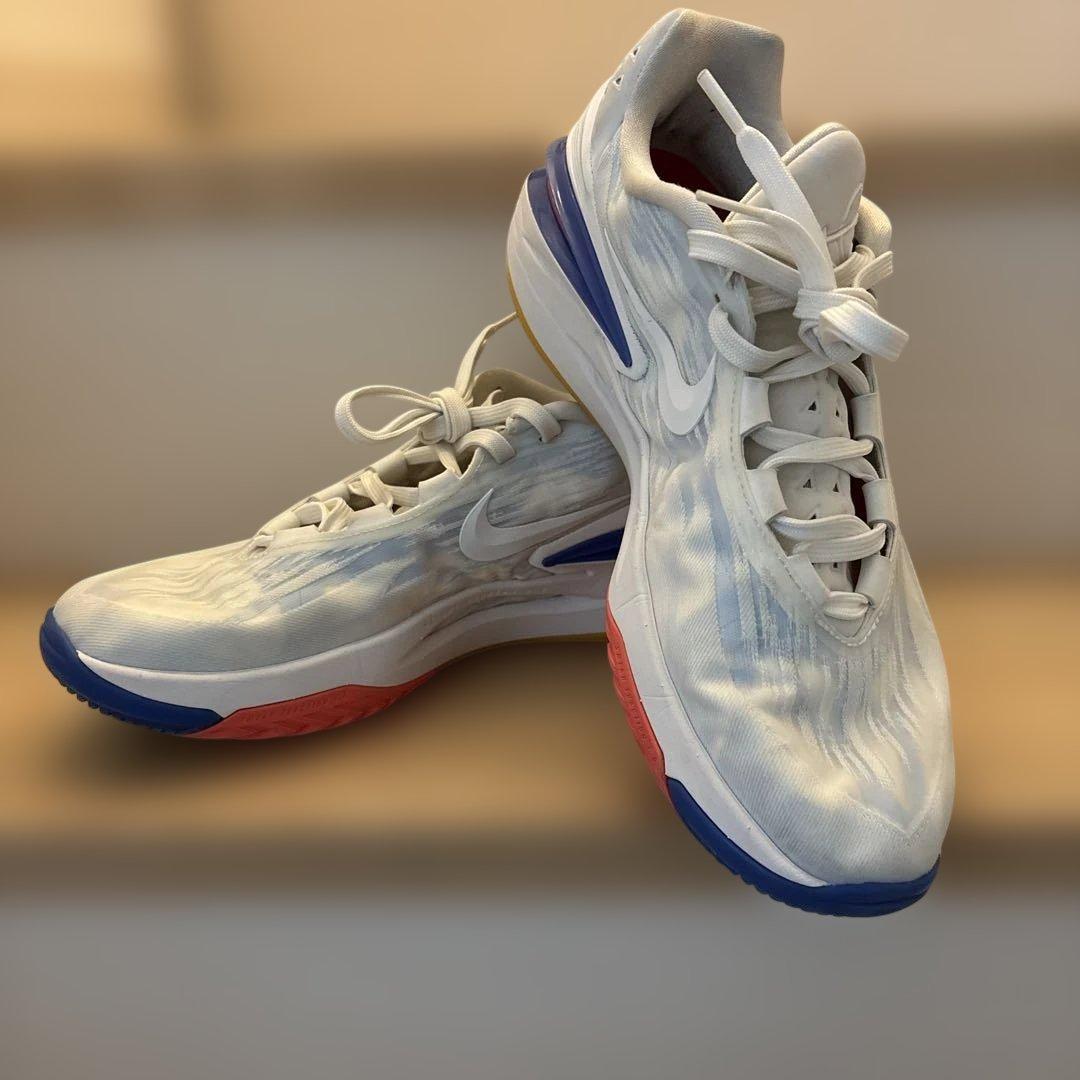 GT CUT 2/ズーム GT カット 2 28cm バッシュ　レア