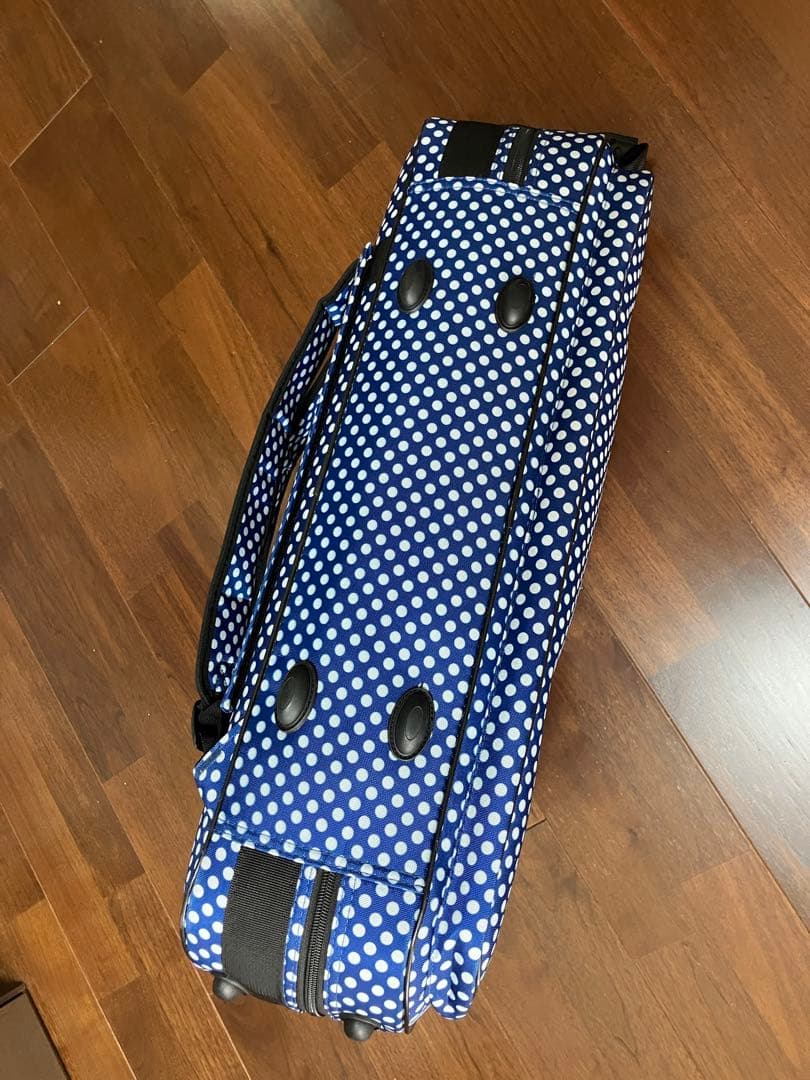 アルトサックスセミハードケース　ボーモント　Beaumont 美品