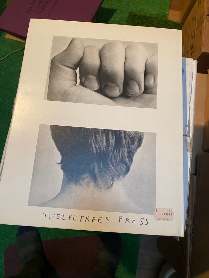 芸術写真 THE PORTRAITS OF ALBUM DUANE MICHALS