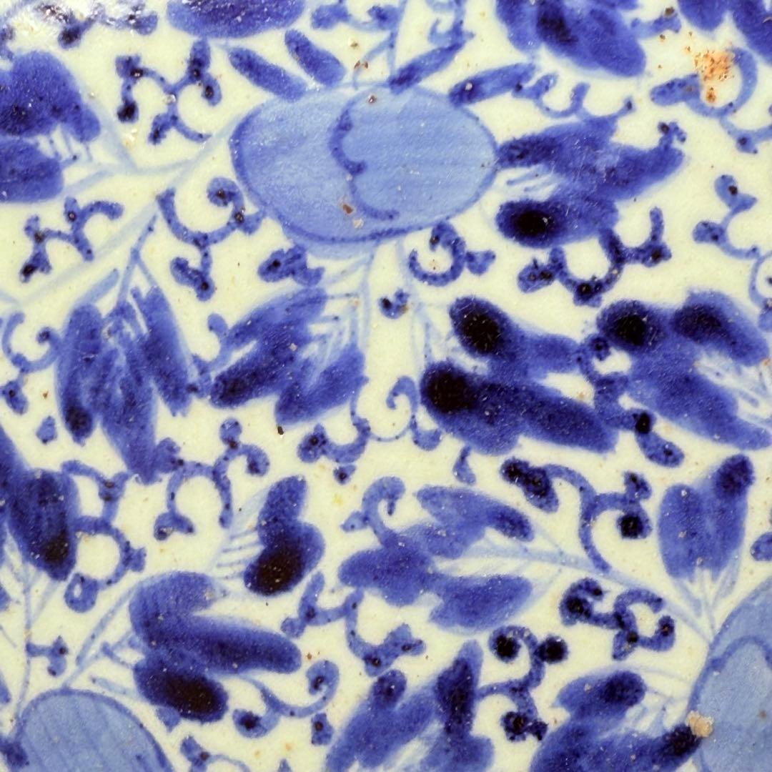 江戸後期　藍柿右衛門　「染付花草文様八寸皿」　渦福　博物館級　状態良し