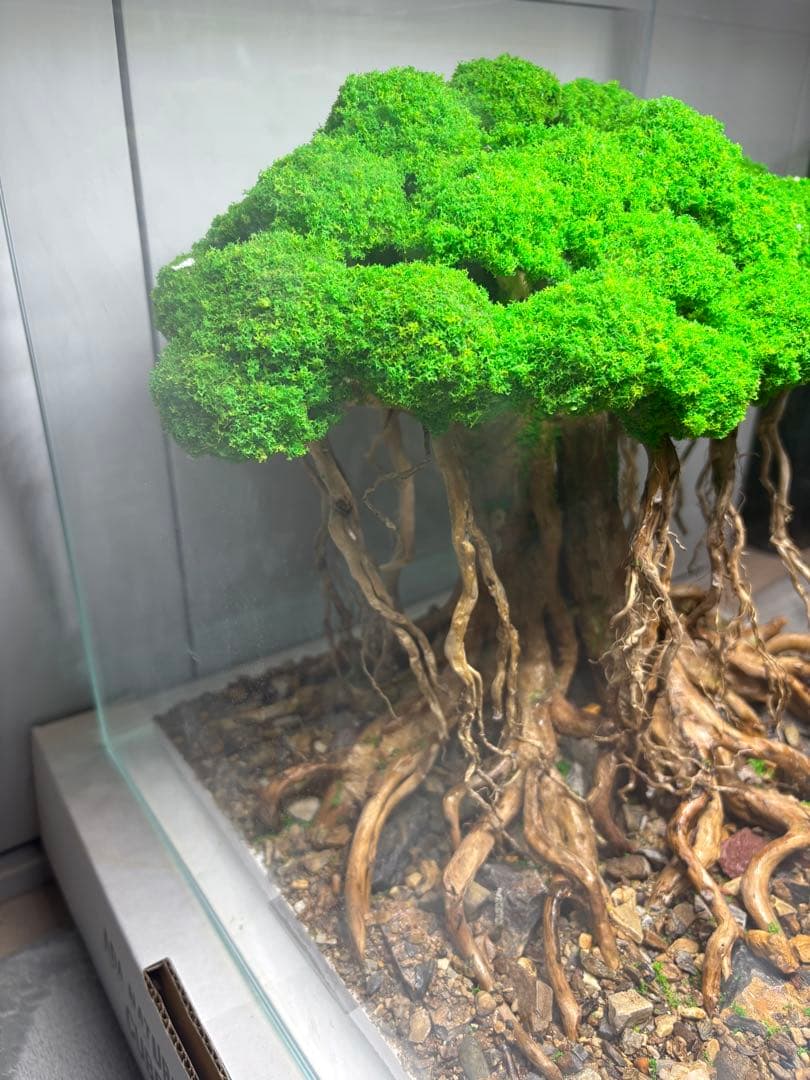 人工盆栽流木　アクアリウム