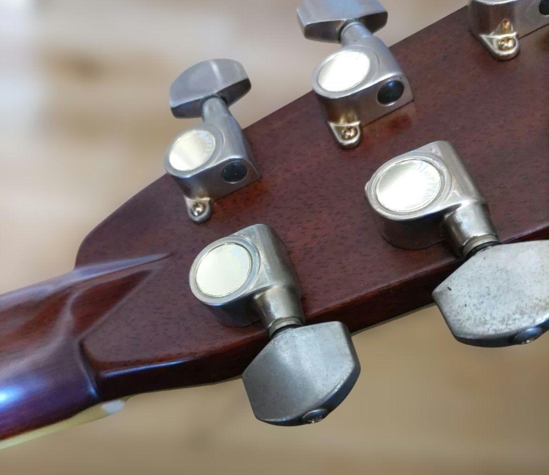 モーリスアコースティックギターTF-805