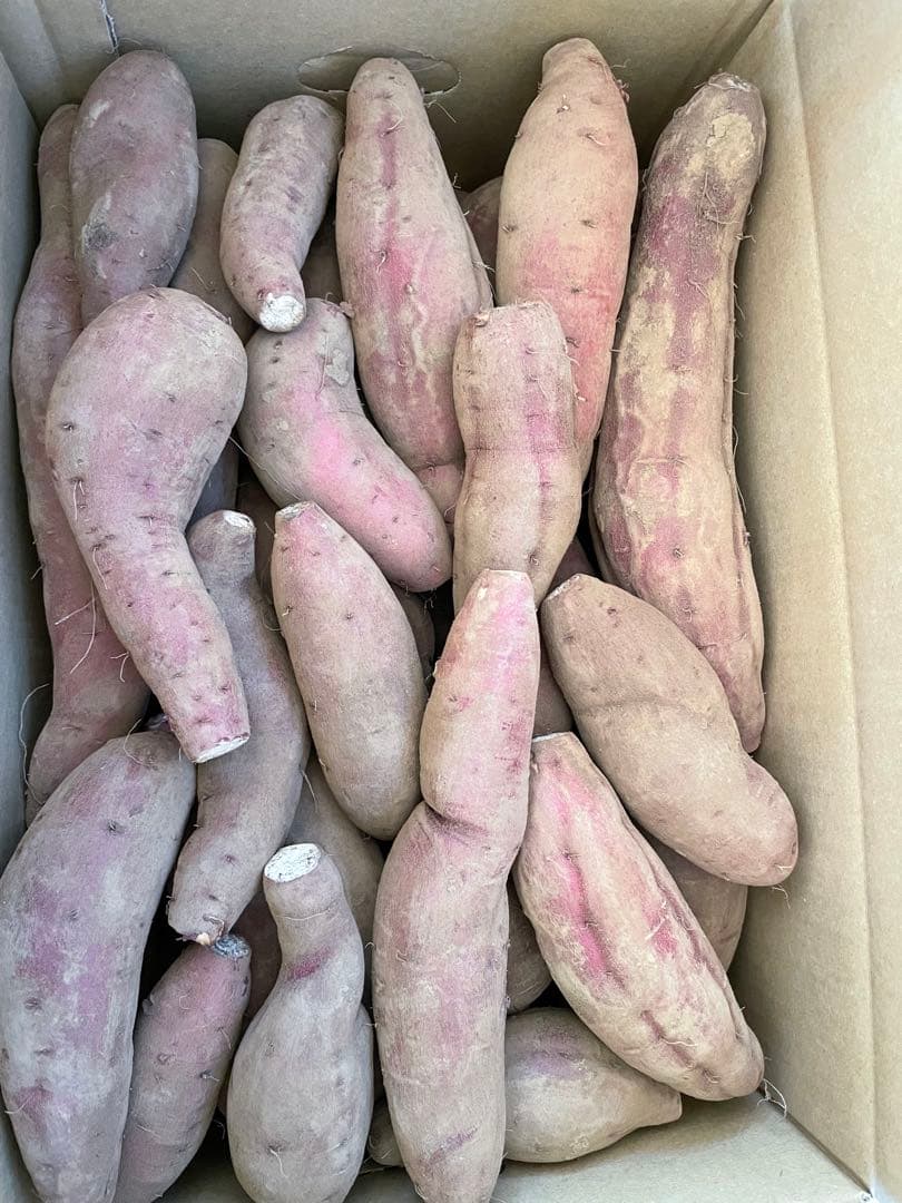 規格外　さつまいも　伝言板★