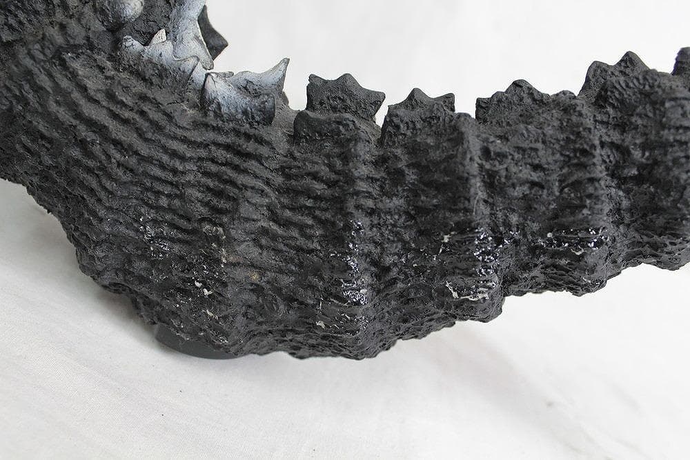 ◇初代ゴジラ 独立6chラジオコントロールシステム搭載ラジコン 06432