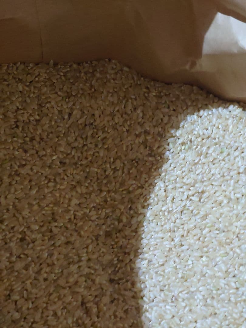 令和７年産　まっしぐら24kｇ　送料込み 未精米　生産農家直送