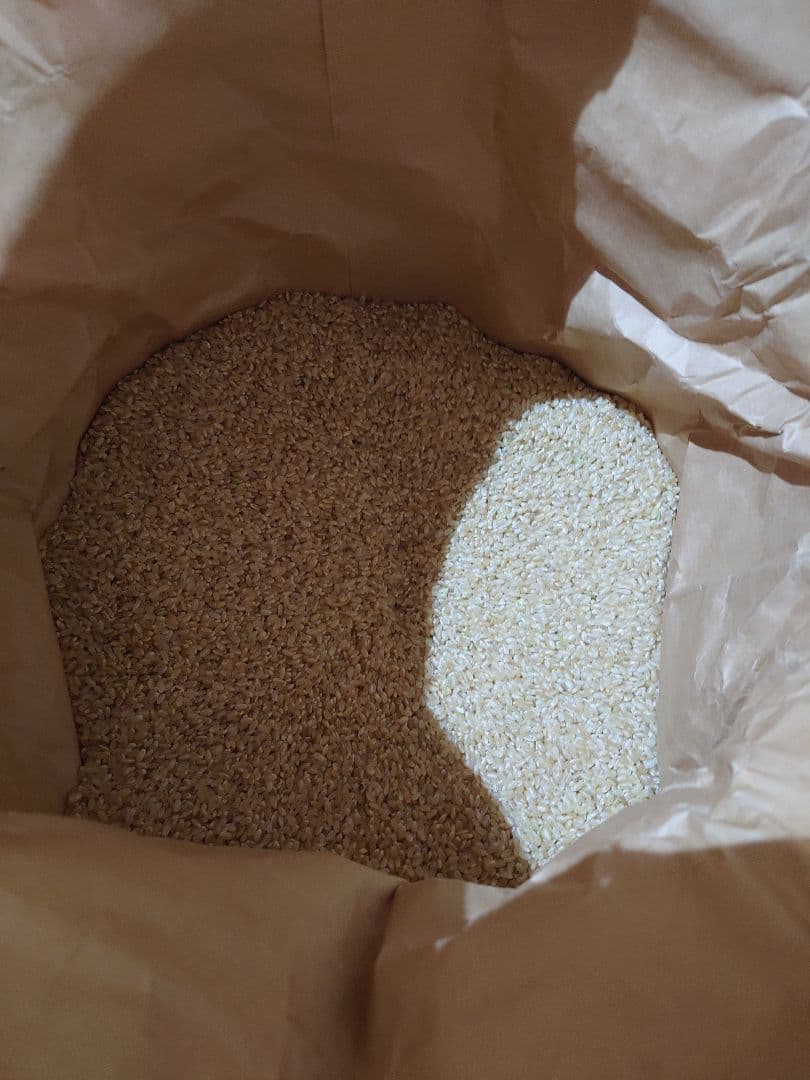 令和７年産　まっしぐら24kｇ　送料込み 未精米　生産農家直送