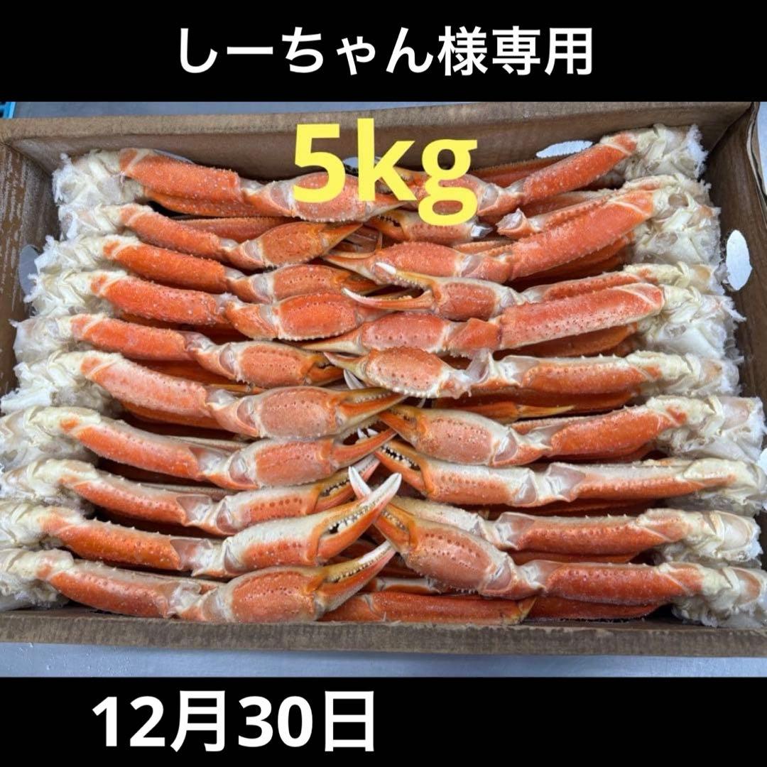 しーちゃん 12月30日 時間未定 到着希望