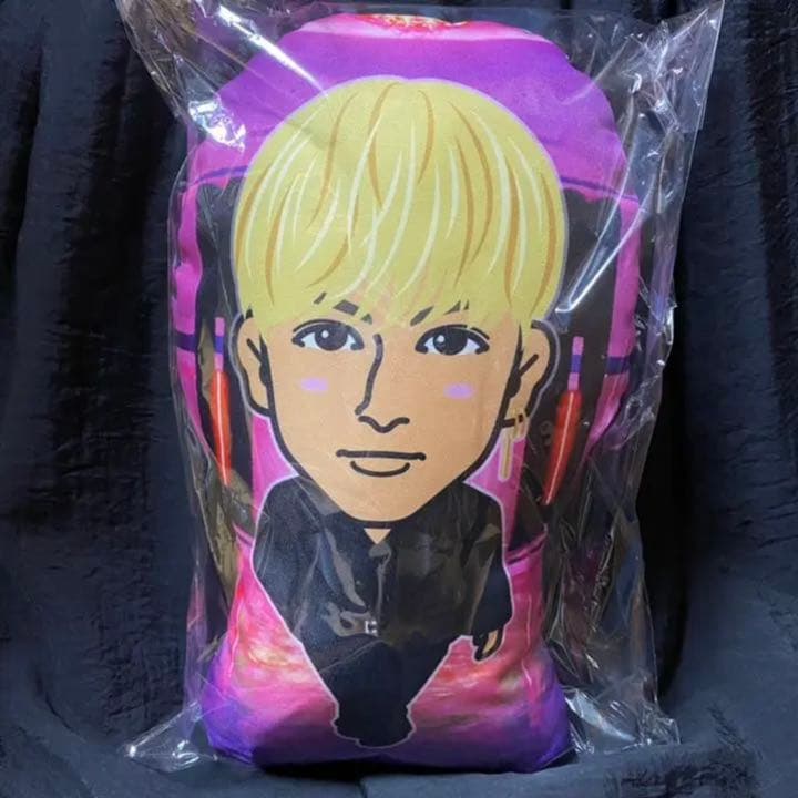 長谷川慎　クッション