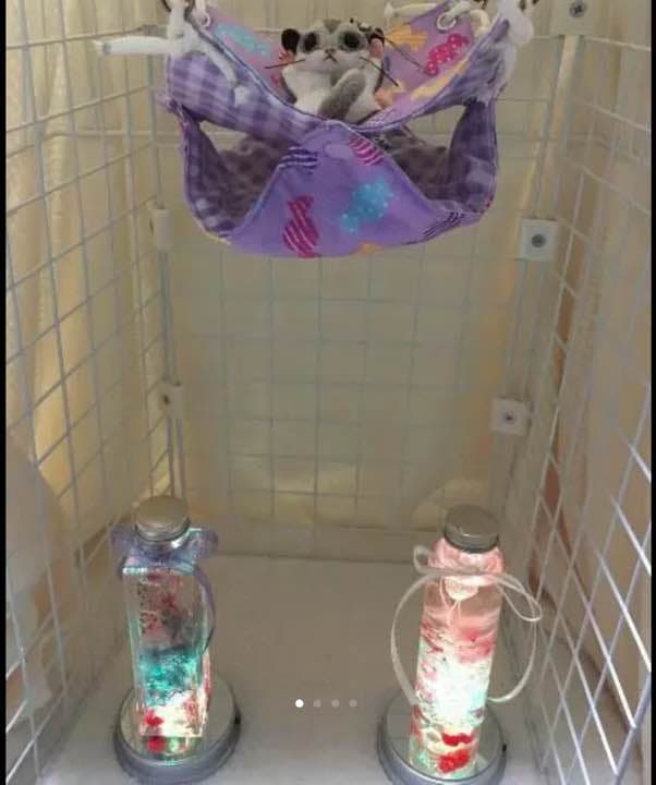 モモンガハウス(キャンディ柄・紫)春(夏)秋仕様  1900円