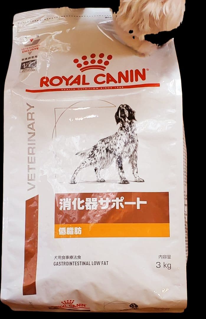  CANIN 消化器サポート 低脂肪 3kg