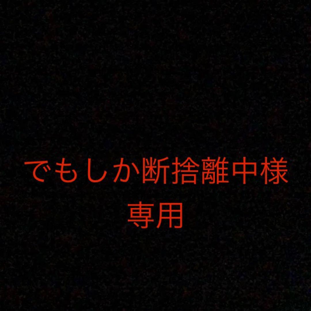 でもしか断捨離中〜ページ