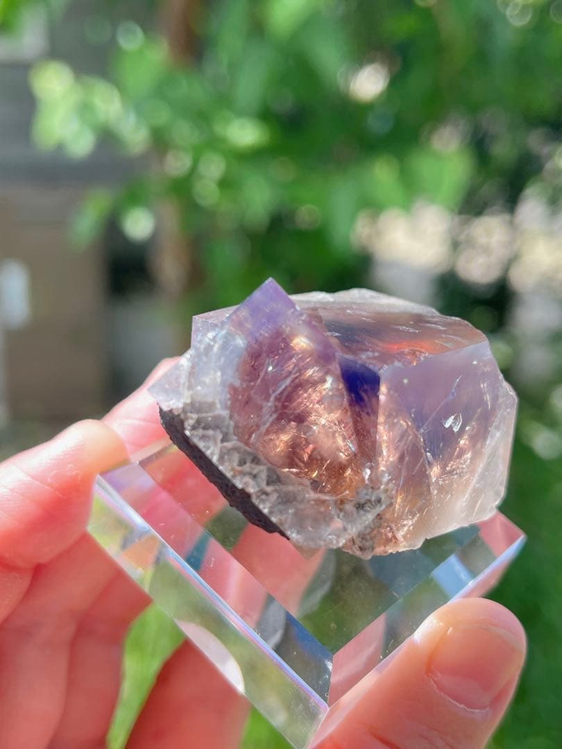 その他 sherry twins pocket