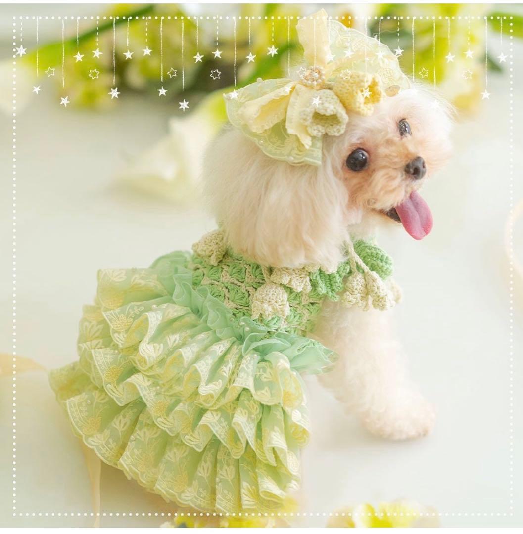 Pet a Portre (ペットアポルテ) LE LYSCALLA リボン付