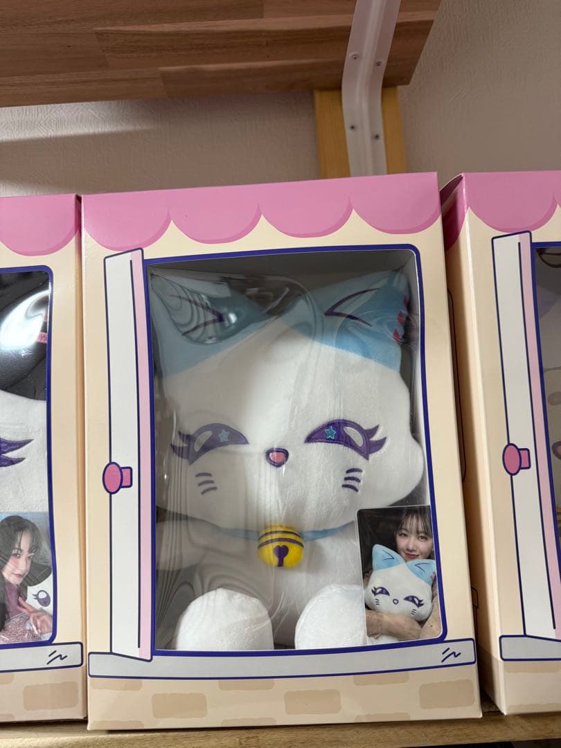 未開封 加藤心 CORON おすわりミャイズぬいぐるみ トレカ コロンME:I