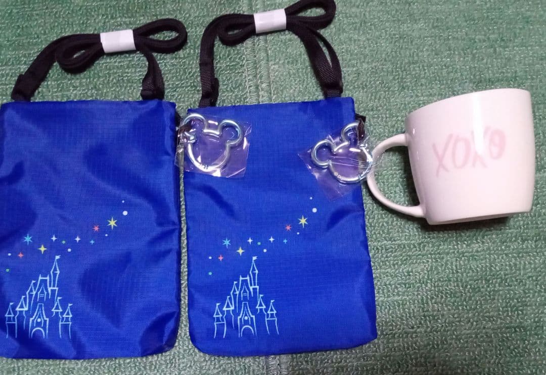 【送料込】ディズニー　ミラコスタ　バケパ　FSホテル ダッフィ　グッズセット