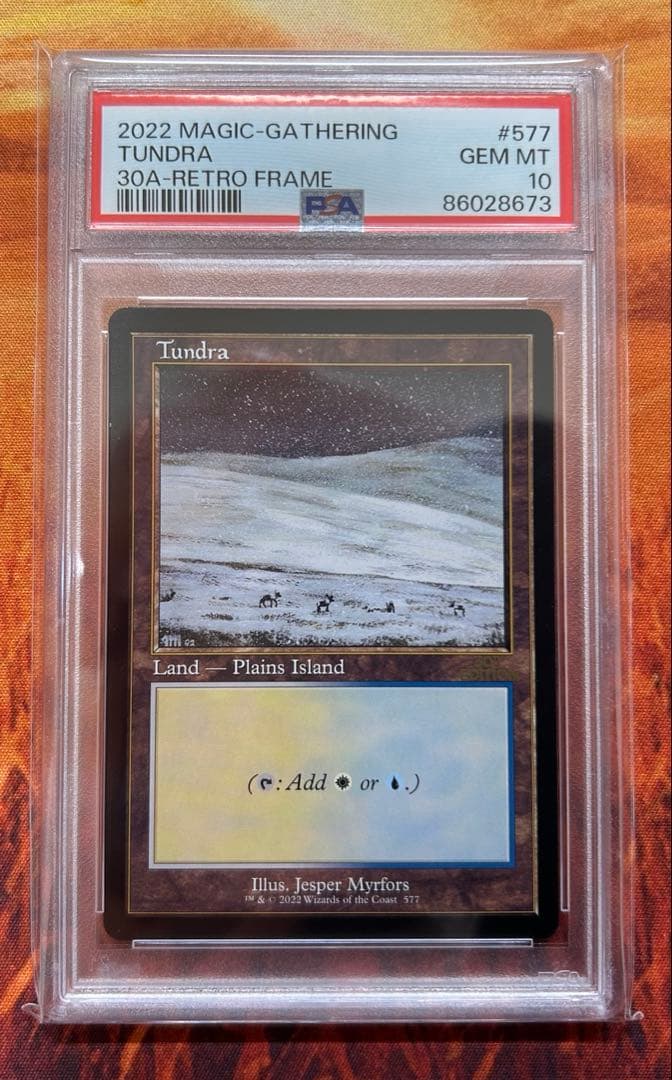 MTG 30th anniversary edition / Tundra 旧枠