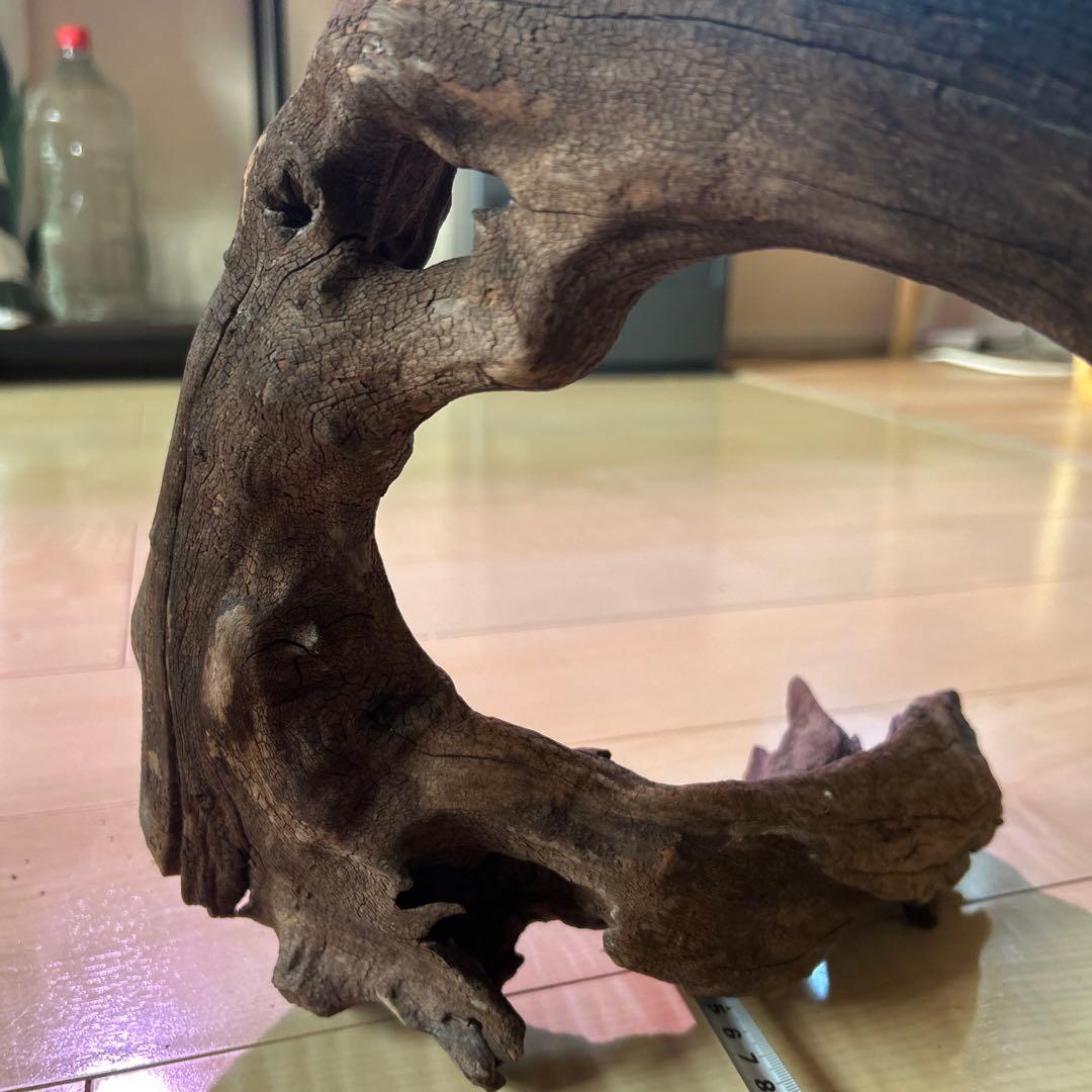 ADA ホーンウッド　L〜XL サイズ