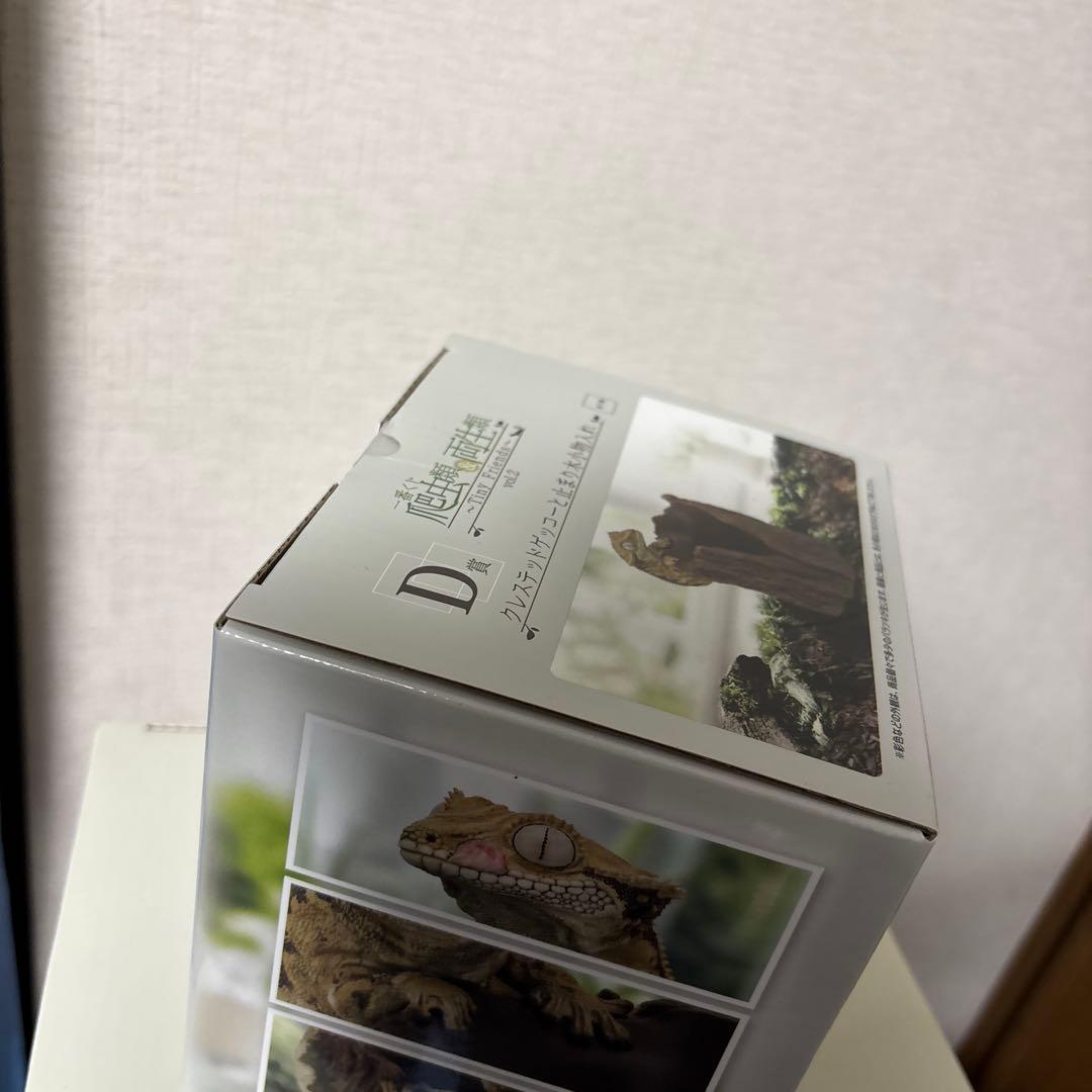 一番くじ 爬虫類&両生類 A賞 C賞 D賞 E賞 ラストワン フィギュア