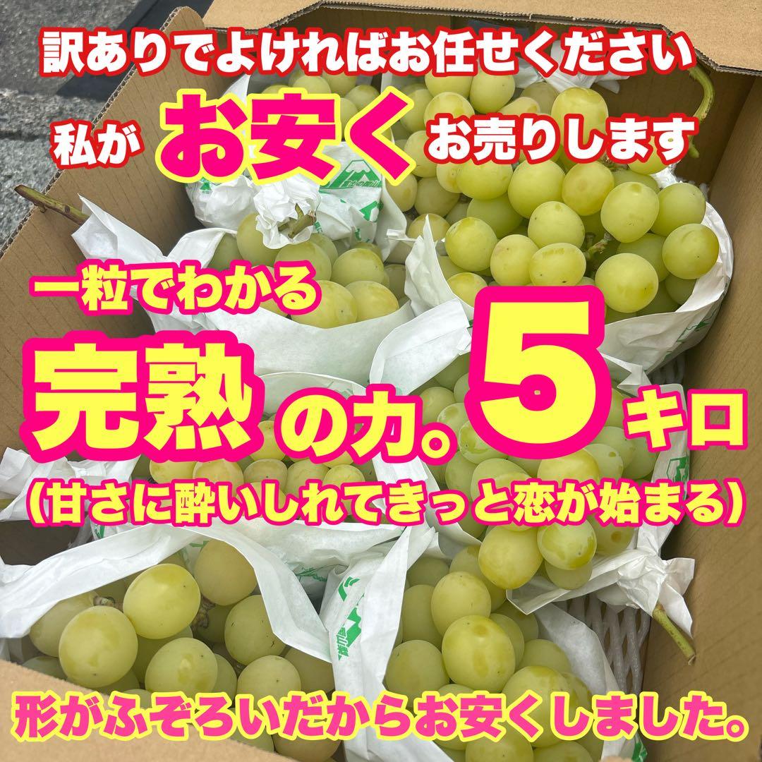 1キロあたりなんと1,600円！5キロ入でこのお値段は見逃せません！