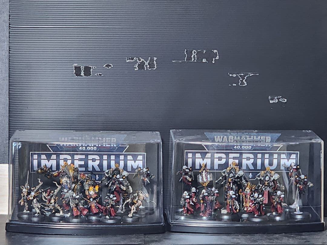 週刊ウォーハンマー　アデプタ•ソロリタス全種類塗装済み、ケース付き。バラ売り不可