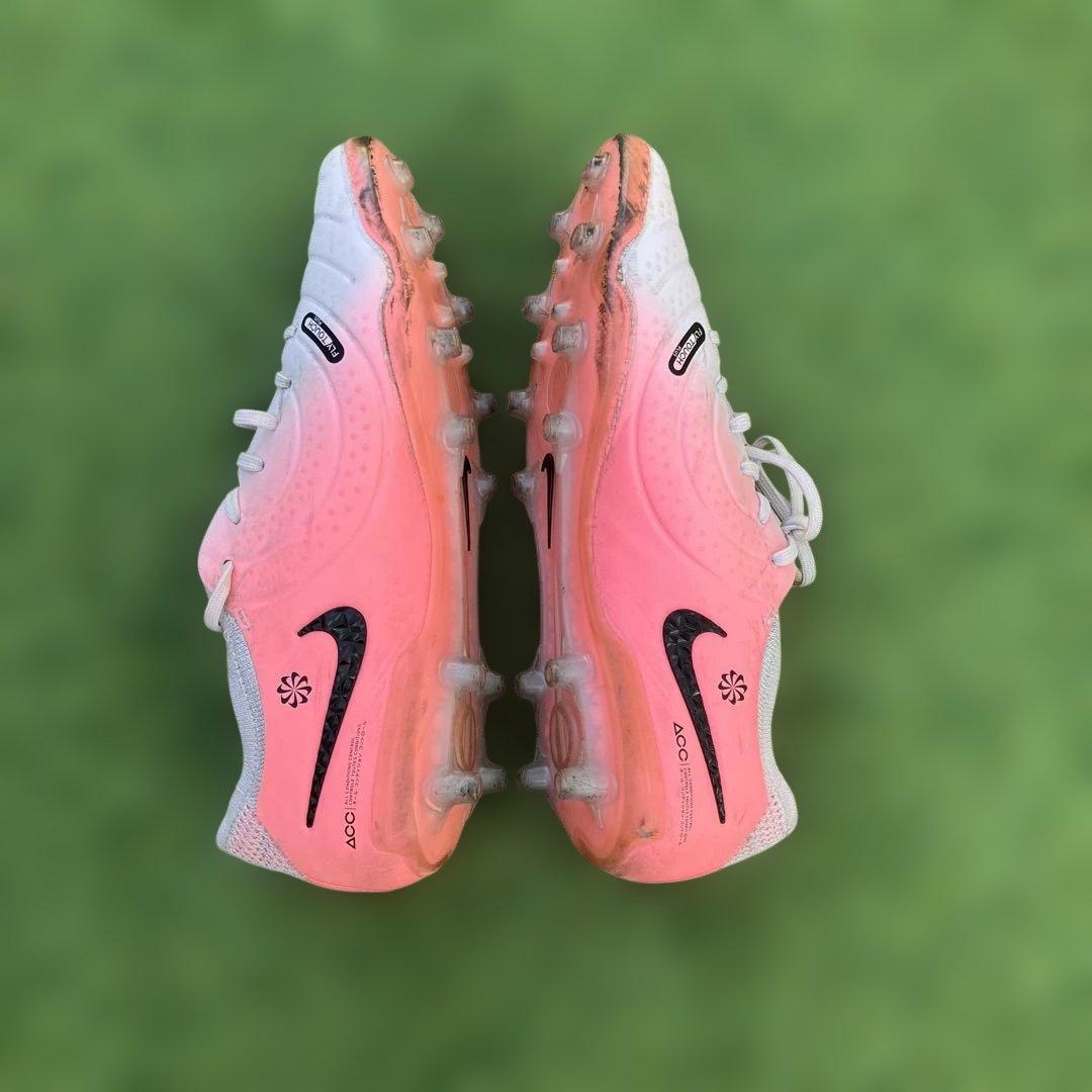 ティエンポエリート　FG