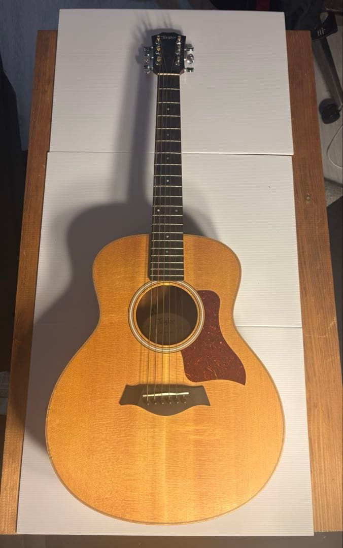 Taylor GS Mini-e RoseWood ES2テイラー