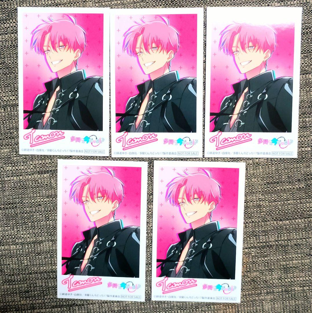 【5枚セット/福原多聞】多聞くん今どっち⁉︎　ミニフォト　特典