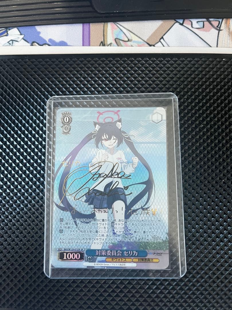 ヴァイスシュヴァルツ　対策委員会セリカ